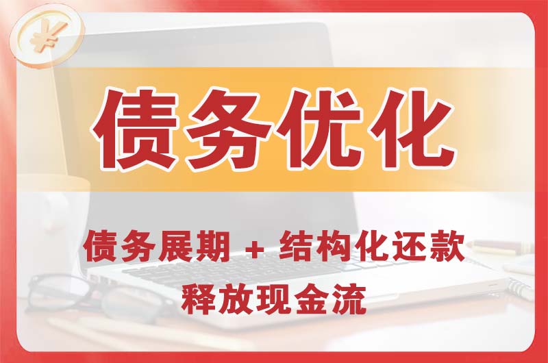 壤塘债务优化