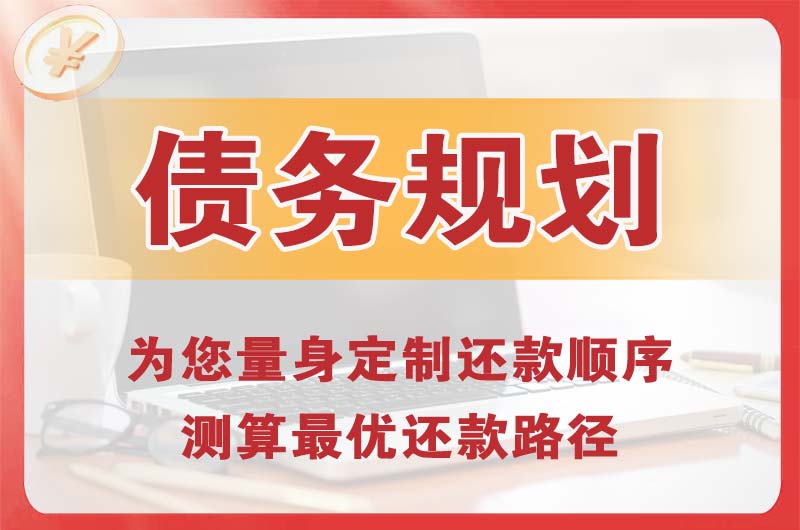 壤塘债务规划